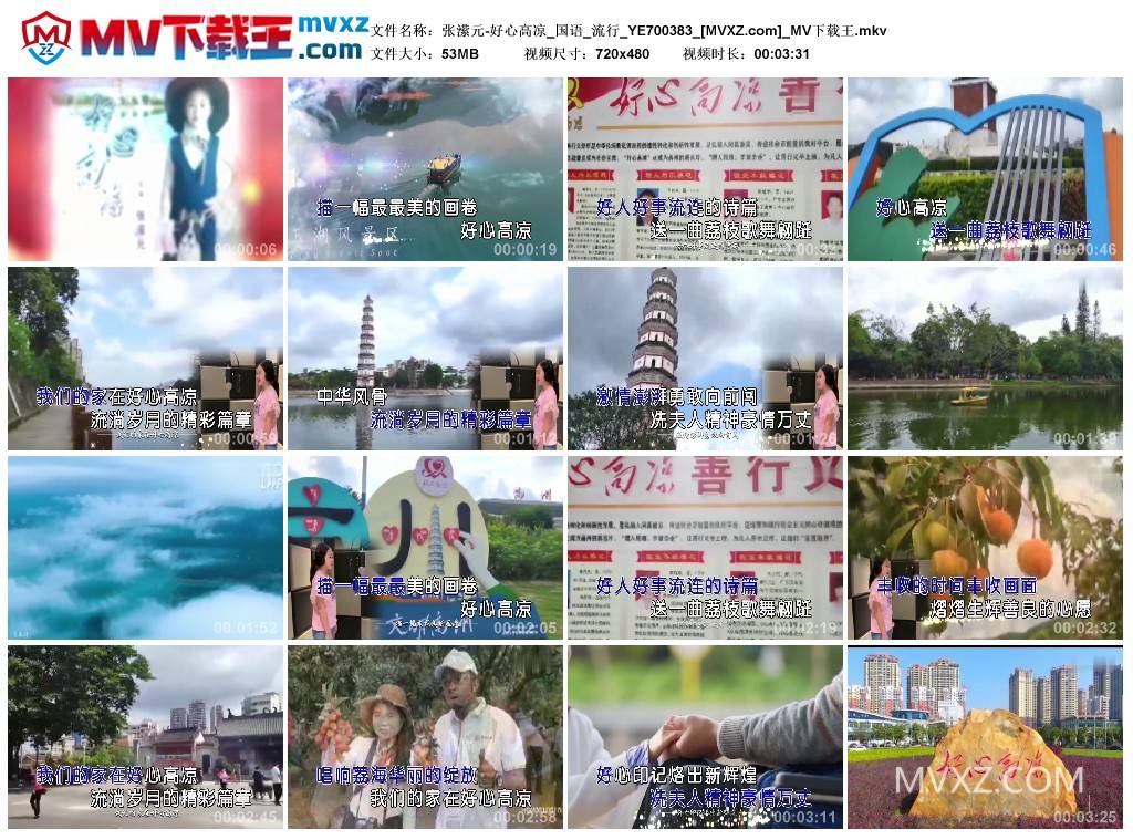 张潆元-好心高凉_国语_流行_YE700383